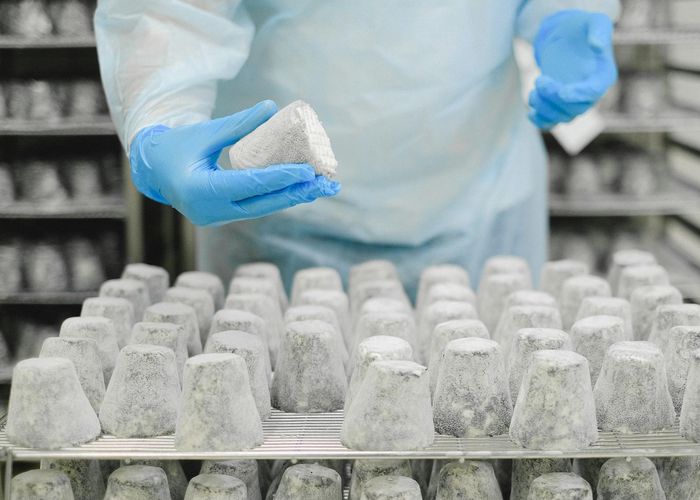 Food industry quality standards